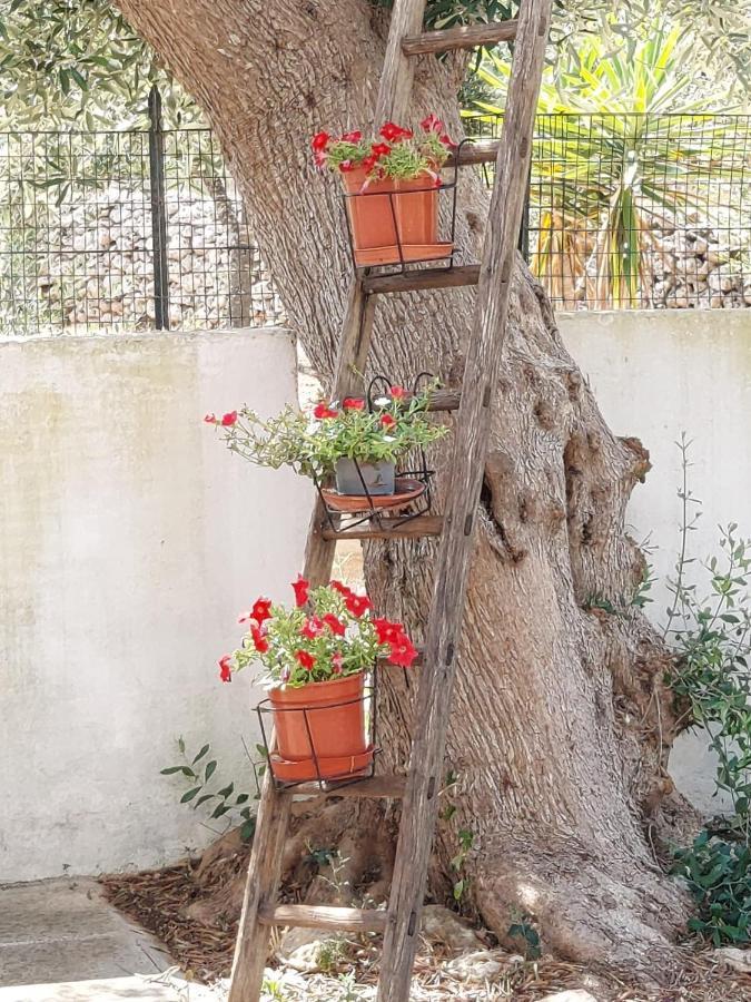 Tenuta Palummaru Villa Tricase Dış mekan fotoğraf